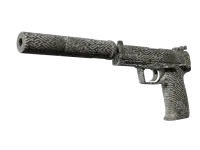 USP-S | Pathfinder (Factory New)