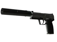 USP-S | Stainless (Well-Worn)