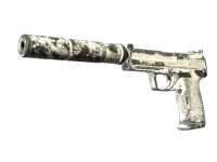 USP-S | Whiteout (Battle-Scarred)