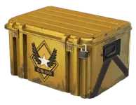 Winter Offensive Weapon Case