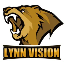 Lynn Vision