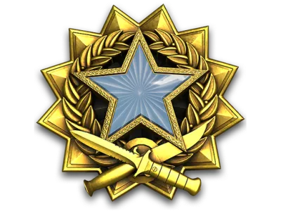 2017 Service Medal