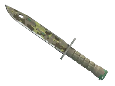 ★ Bayonet | Boreal Forest (Well-Worn) skin