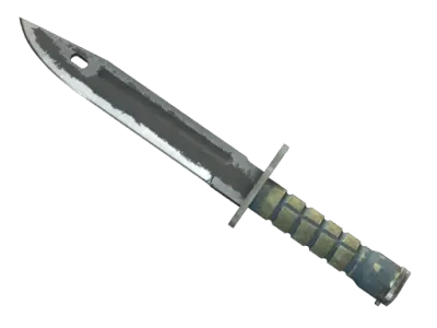 ★ Bayonet | Night (Battle-Scarred)