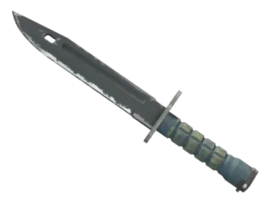 ★ Bayonet | Night (Field-Tested)