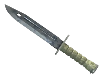 ★ Bayonet | Stained (Factory New)