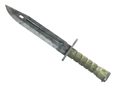 ★ Bayonet | Stained (Field-Tested)