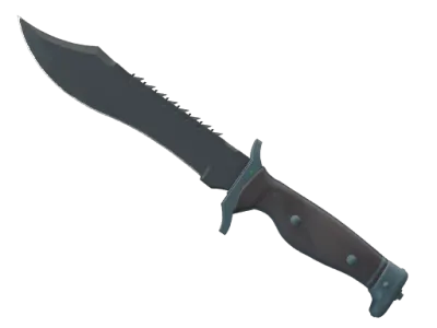 ★ Bowie Knife | Night (Factory New)