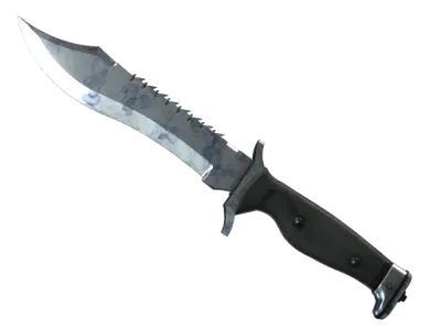 ★ Bowie Knife | Stained (Factory New)