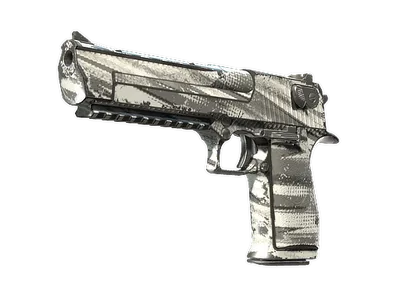Desert Eagle | The Daily Deagle (Well-Worn)