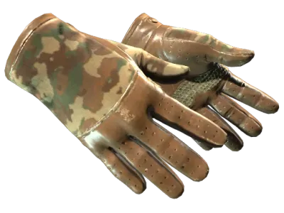 ★ Driver Gloves | Convoy (Well-Worn)