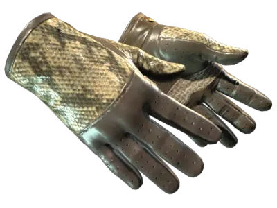 ★ Driver Gloves | Diamondback (Factory New)