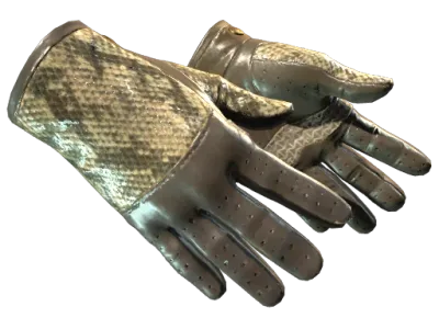 ★ Driver Gloves | Diamondback (Field-Tested)