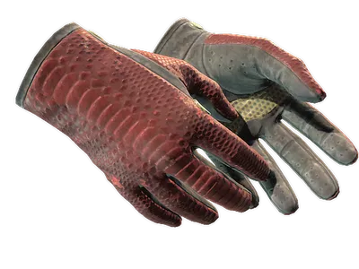 ★ Driver Gloves | Dragon Fists (Well-Worn) skin