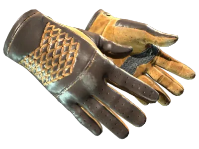 ★ Driver Gloves | Overtake