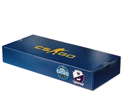 ESL One Cologne 2014 Cobblestone Souvenir Package