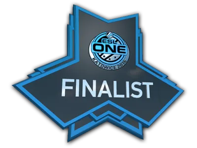 Finalist at ESL One Katowice 2015