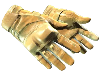 ★ Moto Gloves | Transport
