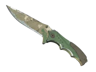 ★ Nomad Knife | Forest DDPAT (Battle-Scarred)
