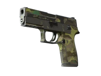 P250 | Boreal Forest