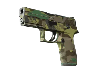 P250 | Boreal Forest (Field-Tested)