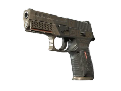 P250 | Bullfrog (Well-Worn)
