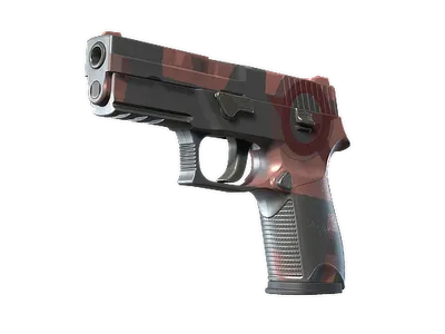 P250 | Constructivist (Minimal Wear)