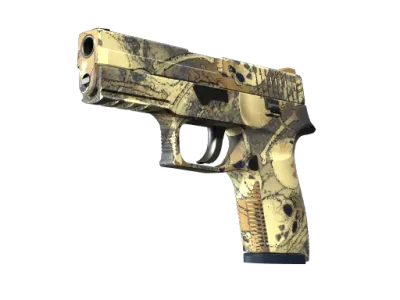 P250 | Contamination (Factory New)