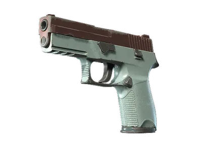 P250 | Copper Oxide (Well-Worn)
