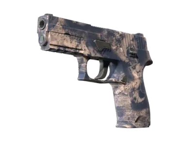 P250 | Drought (Factory New)