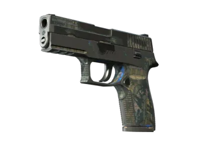 P250 | Exchanger