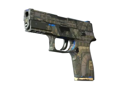 P250 | Exchanger