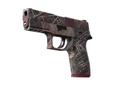 P250 | Facility Draft (Minimal Wear)