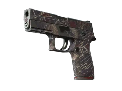 P250 | Facility Draft