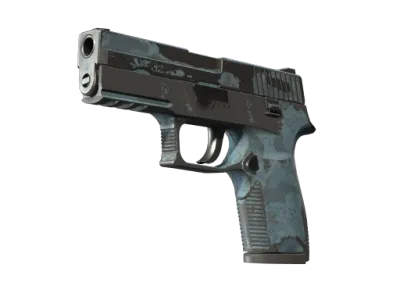 P250 | Forest Night