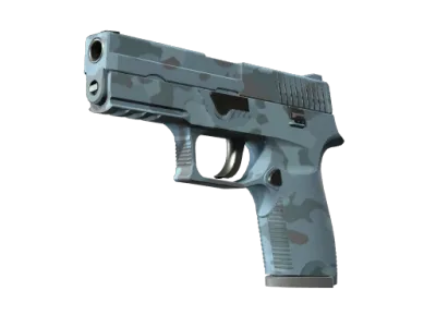 P250 | Forest Night (Factory New)