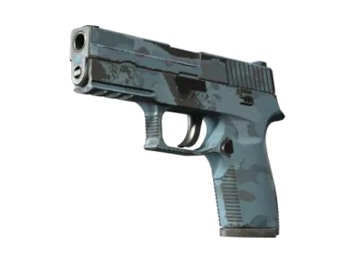 P250 | Forest Night (Field-Tested)