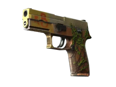 P250 | Inferno