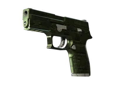 P250 | Iron Clad (Minimal Wear)