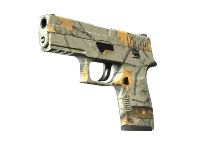 P250 | Modern Hunter