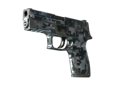 P250 | Steel Disruption