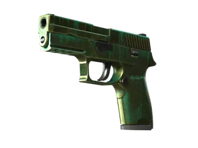 P250 | Verdigris (Battle-Scarred)