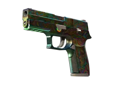P250 | Visions (Battle-Scarred)