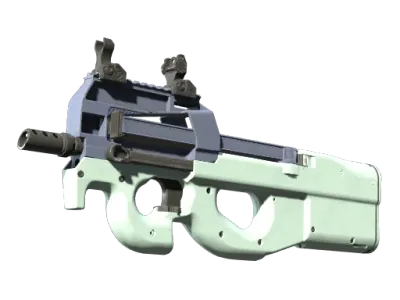 P90 | Storm (Factory New)