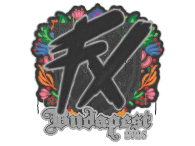 Sealed Graffiti | Fluxo | Budapest 2025