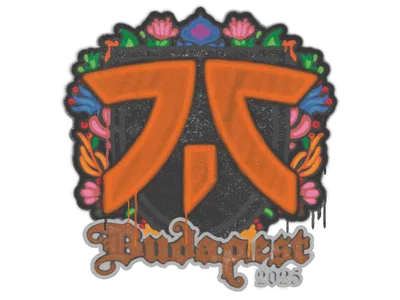 Sealed Graffiti | fnatic | Budapest 2025