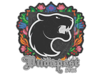 Sealed Graffiti | FURIA | Budapest 2025