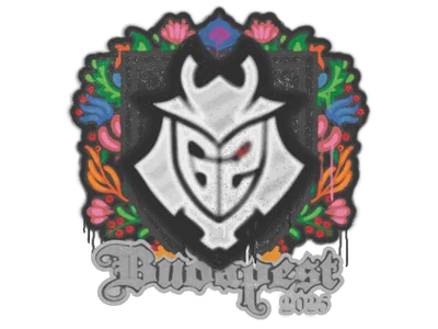 Sealed Graffiti | G2 esports | Budapest 2025