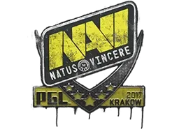 Sealed Graffiti | Natus Vincere | Krakow 2017