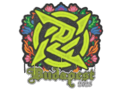 Sealed Graffiti | Ninjas in Pyjamas | Budapest 2025